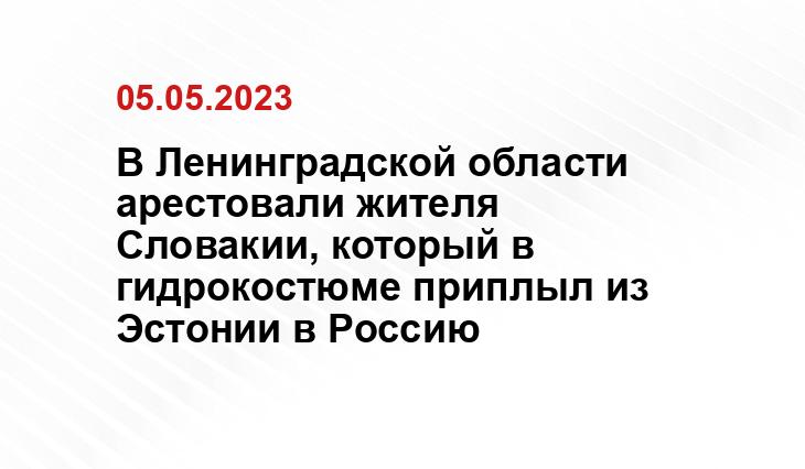 В Ленинградской области арестовали жителя Словакии, который в гидрокостюме приплыл из Эстонии в Россию