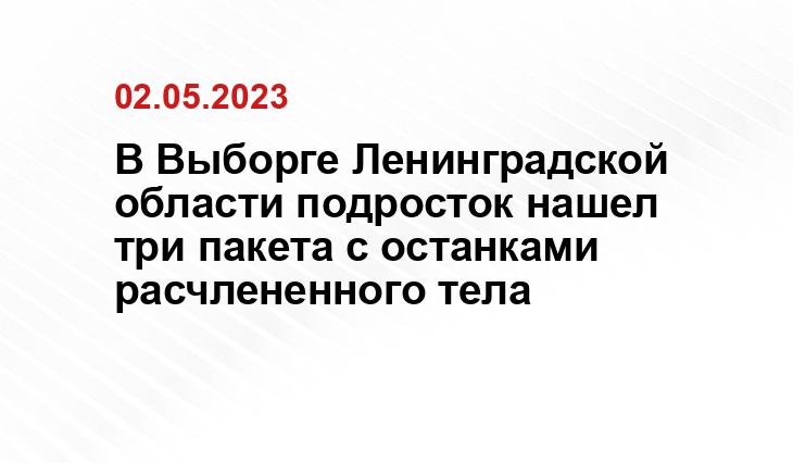 В Выборге Ленинградской области подросток нашел три пакета с останками расчлененного тела