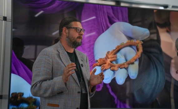 62-метровый скорпион найден в Мексике: как древние земледельцы строили календарь из земли и звёзд