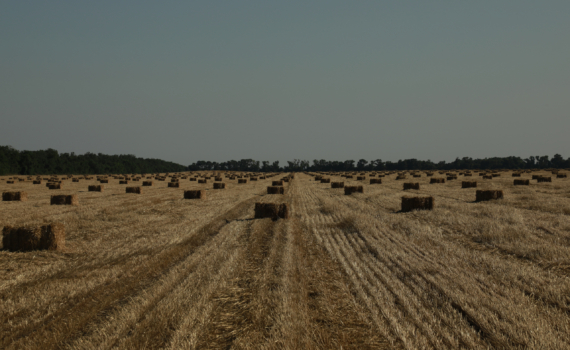 Молодые абитуриенты агроинститутов будут изучать беспилотные технологии и точное земледелие
